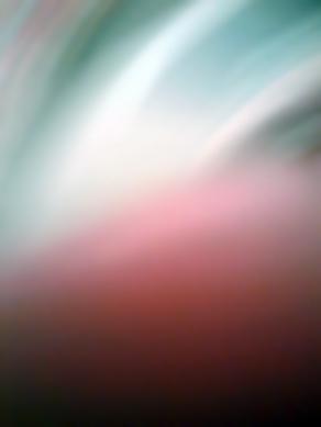 Il salto dell'angelo