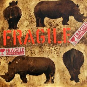Fragile #5