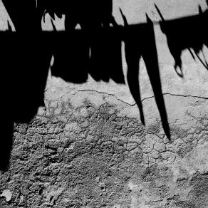 Il sole asciuga la vita che scorre 