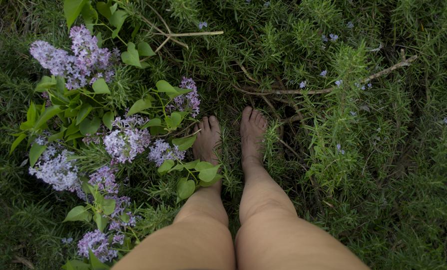 Le Fate coltivano Lillà