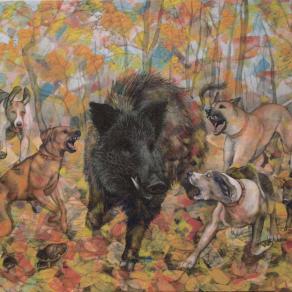 Effetti della diversità