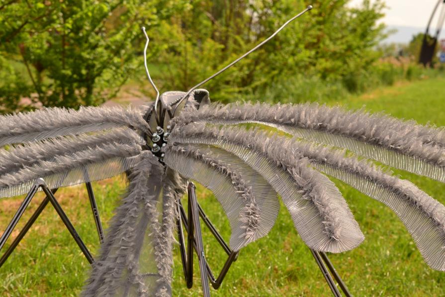 Insomnia - dettaglio