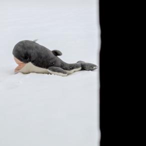 untlited # One untlited # One