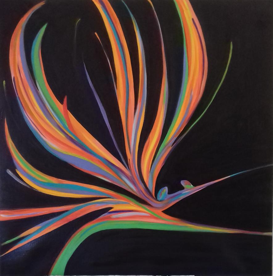 STERLIZIA SPETTINATA