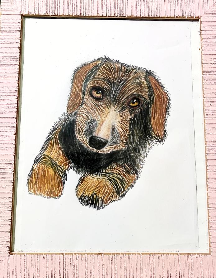            ... "I cani sono angeli custodi che non hanno ali" ...