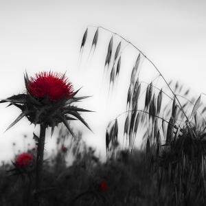 Esposizione Collettiva di Arte Contemporanea: Sesto Ciclo Espositivo del Premio Art Caffè Letterario Prima Edizione.