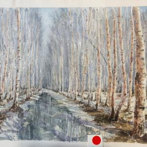 DI COLORE E D'ACQUA al Palazzo Ducale di Revere (Mantova) si è conclusa alla grande!