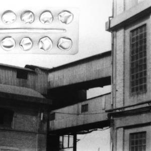 Roberta Baldaro, Posto nuovo Roberta Baldaro, Posto nuovo