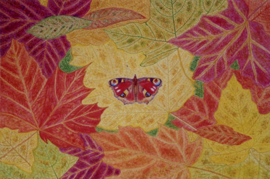 September  ( Vanessa Io ).