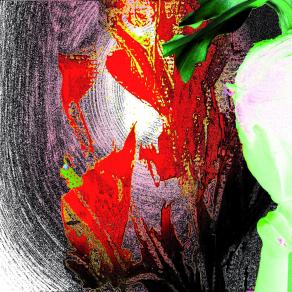 Madre natura guarda la Rana