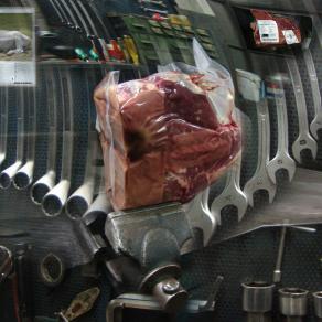 Autofficina Panigalli. non portatemi via la mia chianina.