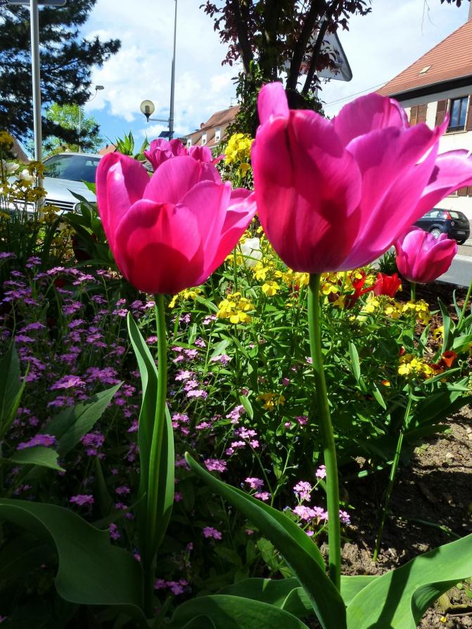Grande et petites soeurs