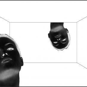 Il Punto di Vista - AlternativeVision