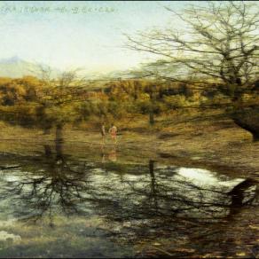 Mimesis : declinazione 14