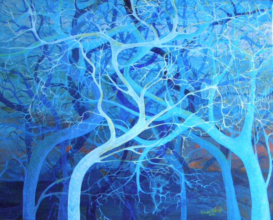 "Il bosco dei sogni"