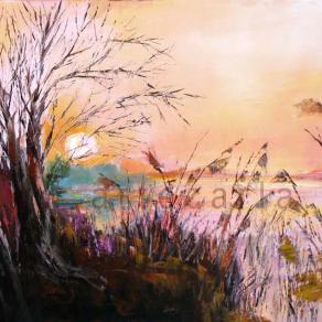 La  magia di un nuovo tramonto - (lago di Pusiano) 