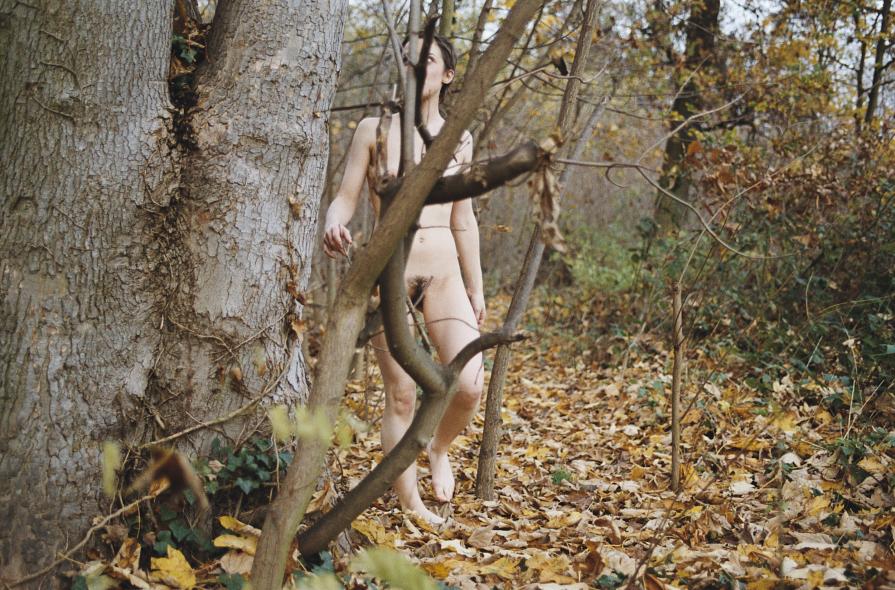 nudi nella foresta