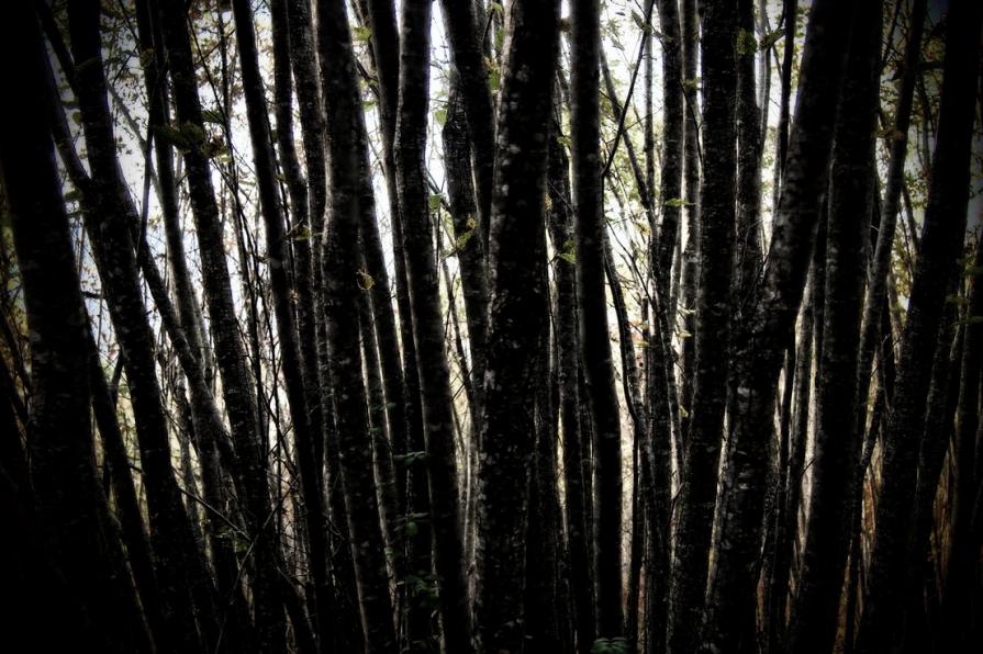 La strada più difficile è sempre la migliore 