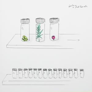 operetta vegetale operetta vegetale