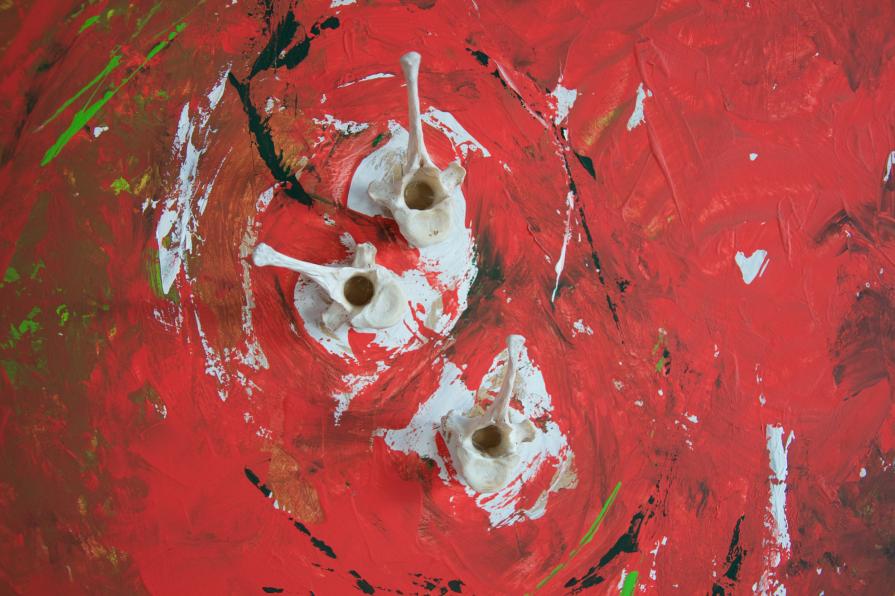 La vita vissuta (part. a)