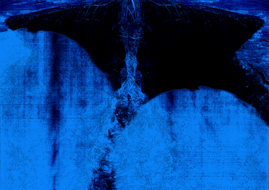 Disrupted Space for Careless People