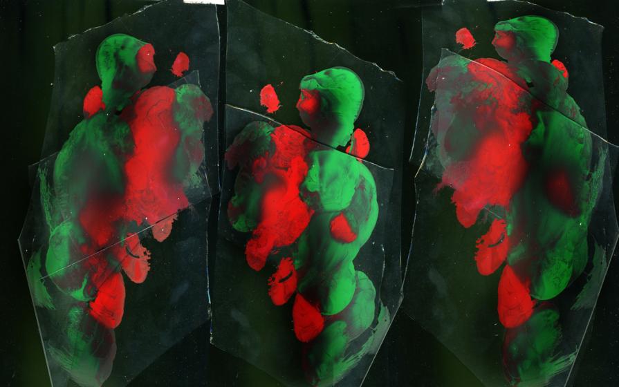 eravamo tre amici al bar.