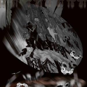 Big Dance Butterfly Big Dance Butterfly