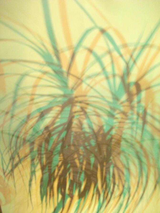 I colori della biodiversità -2015