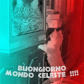 Mi alzo sempre per vedere qual è il prossimo !!!