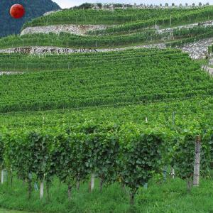 Cantico dei Cantici Cantico dei Cantici