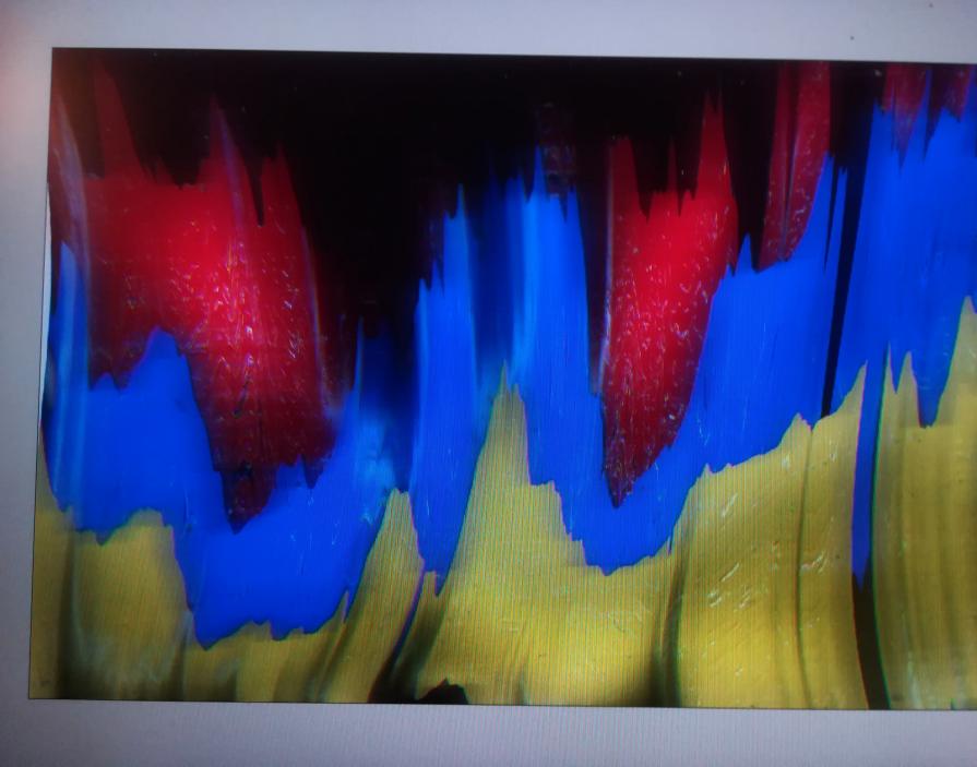 La notte porta consigli 1