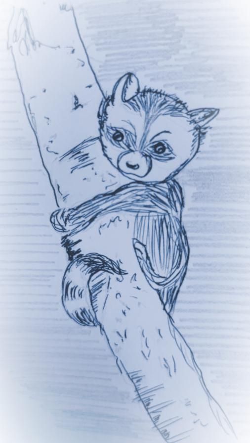 Matita e fantasia 134