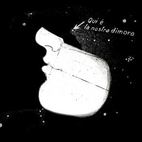 Letizia Ardillo- Permutazioni-