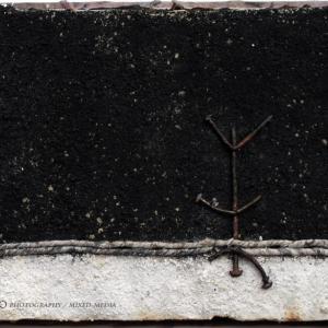 I bambini e le donne della Shoah