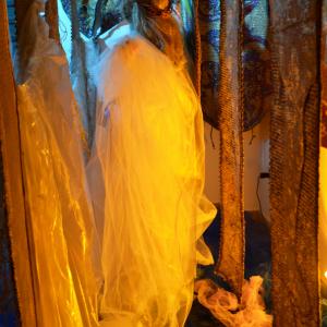 "Potentia divina gratia In Urlo d’Ulivo”di Rosa Didonna "Potentia divina gratia In Urlo d’Ulivo”di Rosa Didonna