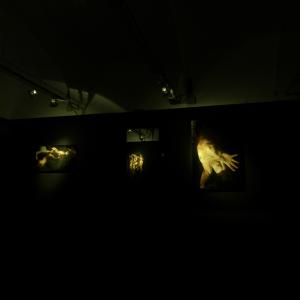 ROBERTA CONI-TENTAR LA CARNE inferno I