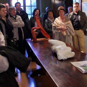 Natura:Luci e Ombre a Modena.