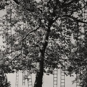 Luigi Menozzi. Intrepidi intrecci