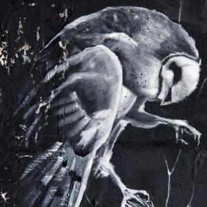 L'IMMAGINE SENZA TEMPO alla Meridiana (MO)