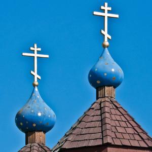 USA. Alaska 1/3. Forme di vita