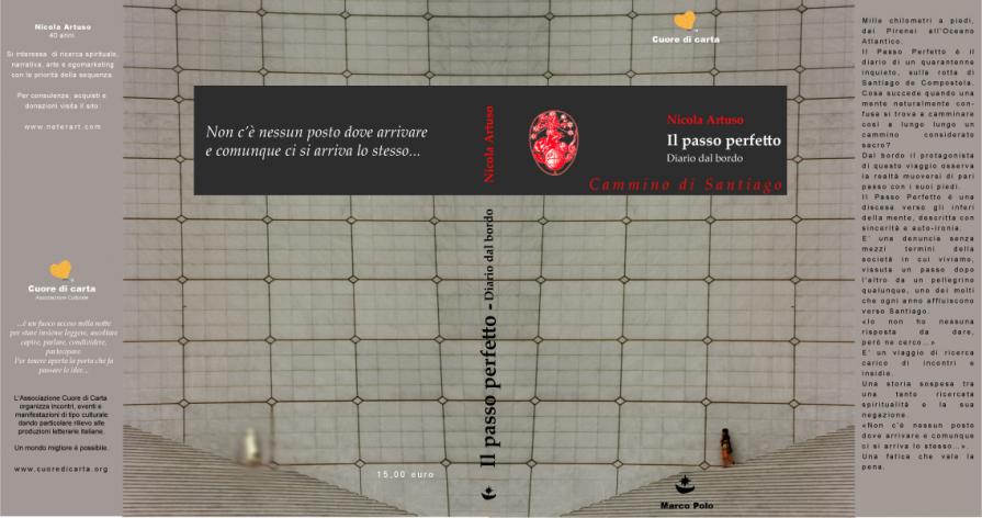 Il passo perfetto, diario dal bordo, romanzo di Nicola Artuso