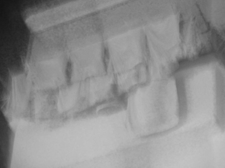 damascus, syria, 2011. say nothing.