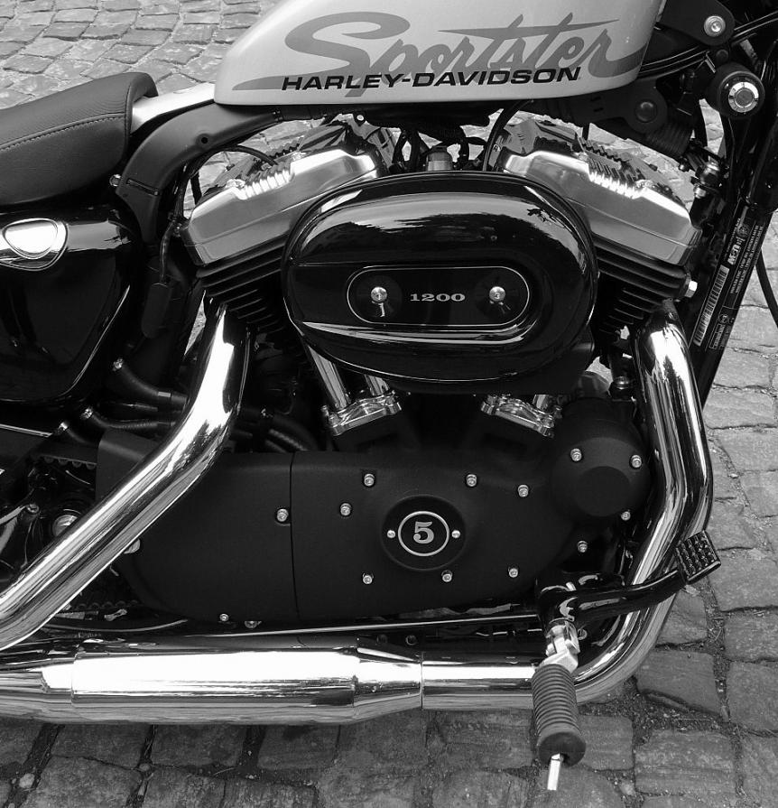 Harley- Davidson