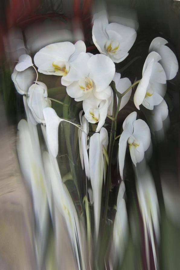 scioglimento generato da un dolore.