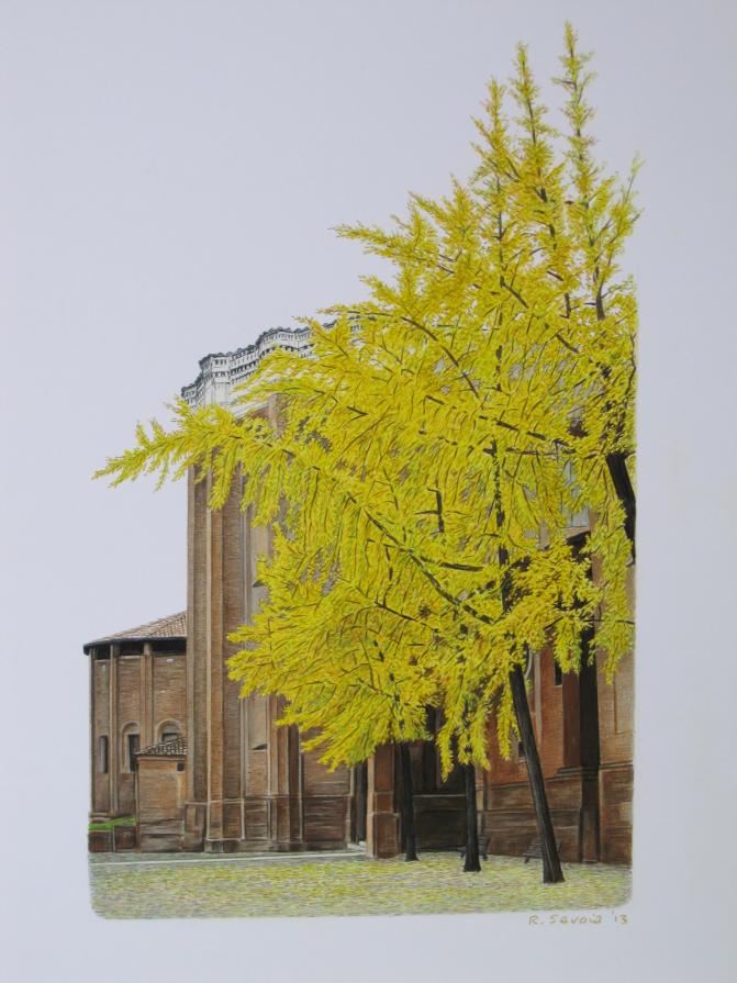 i gingko biloba di San Domenico