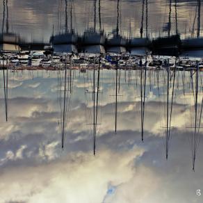 contrasti...a testa in giù!!!