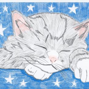 Sognando tra le stelle