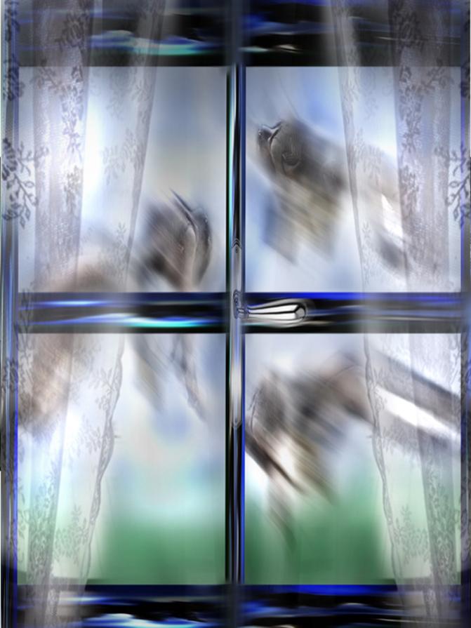 che belle tendine hai in casa!!!! Spostale vedi che fuori angeli stanno volando in cielo.