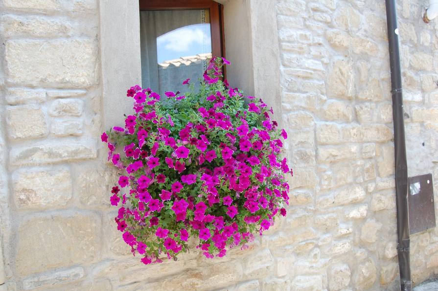 Impossibile non notarti