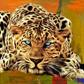 Leopardo Leopardo